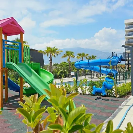 Orange Premium * Finike