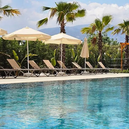 Orange Premium * Finike