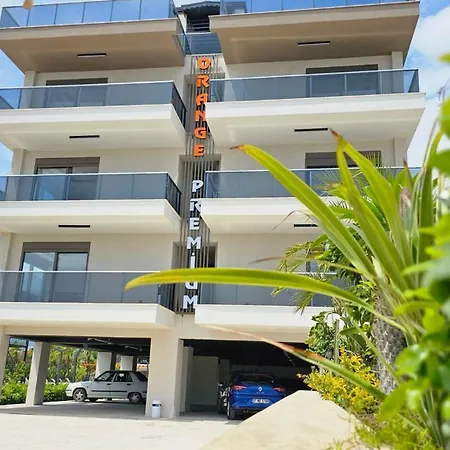 Orange Premium * Finike