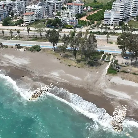 Orange Premium Finike