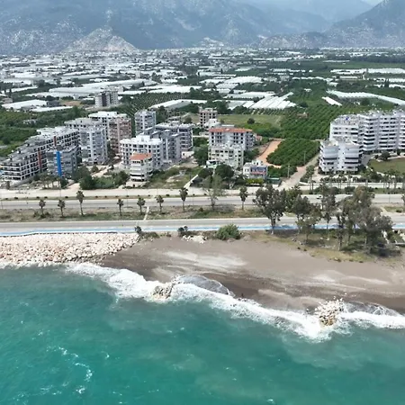 Lejlighed Orange Premium