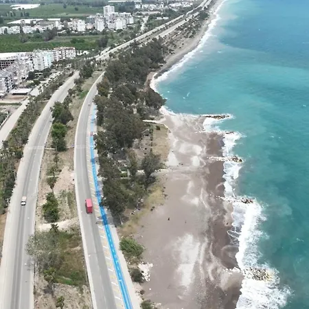 Orange Premium Finike