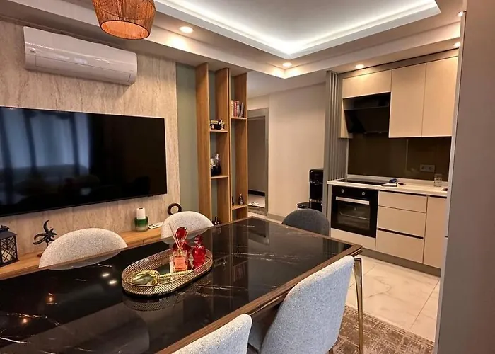 Orange Premium * 피니케