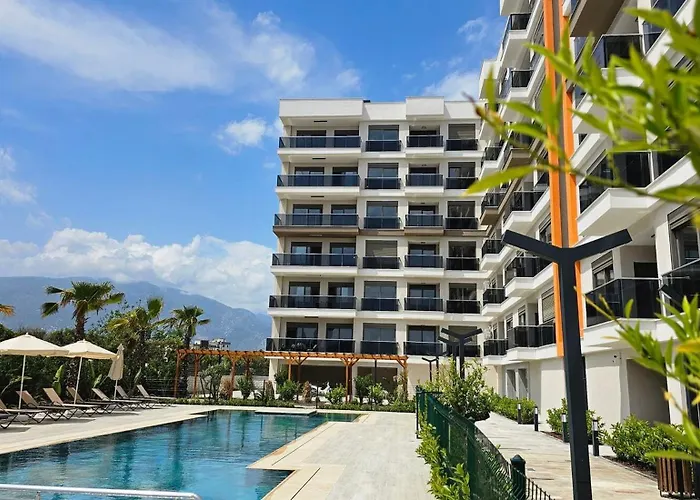 Orange Premium * 피니케