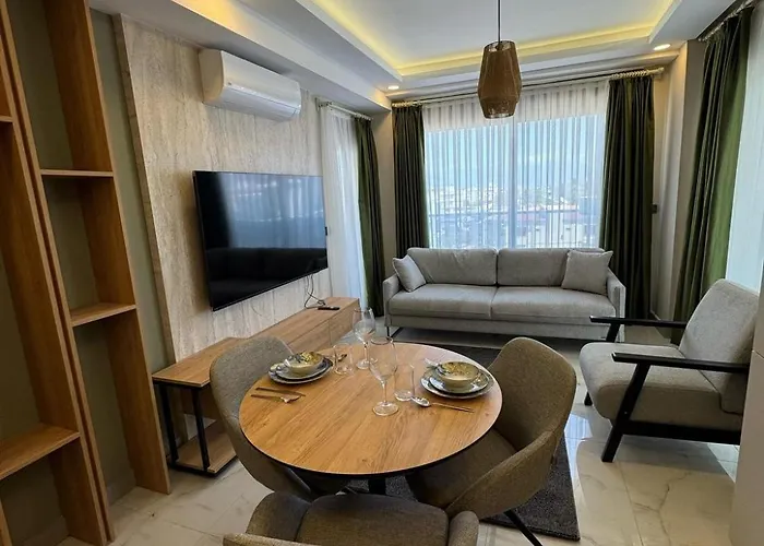 Orange Premium 피니케