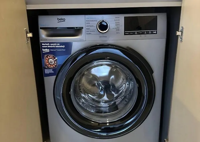 Orange Premium 피니케