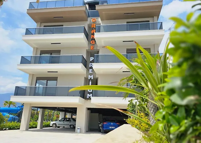 Orange Premium * 피니케