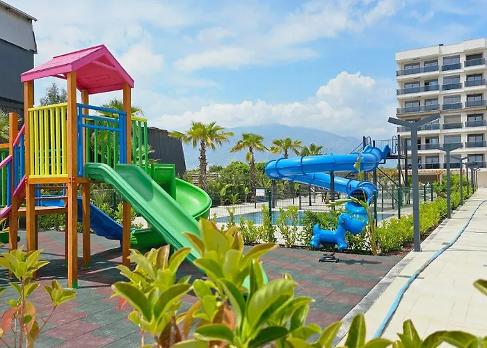 Orange Premium * 피니케