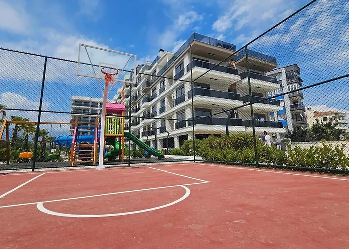 Orange Premium 피니케