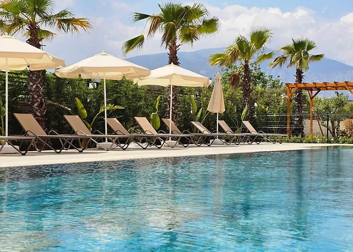 Orange Premium * 피니케