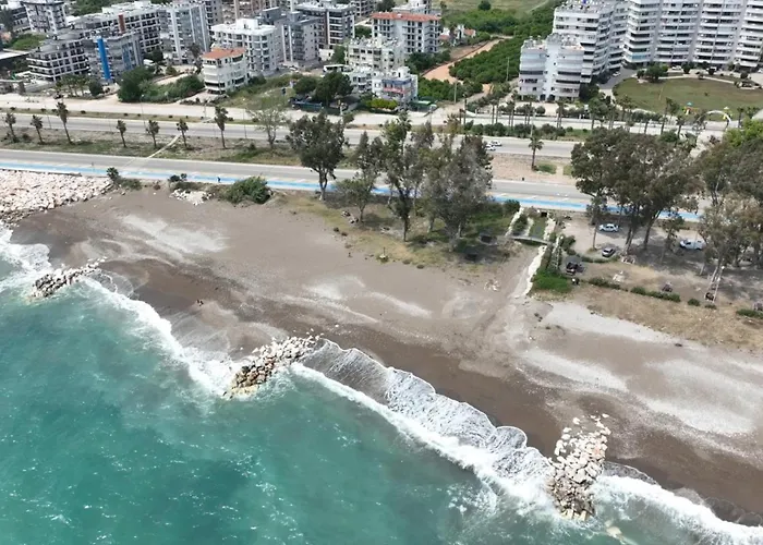 Orange Premium 피니케