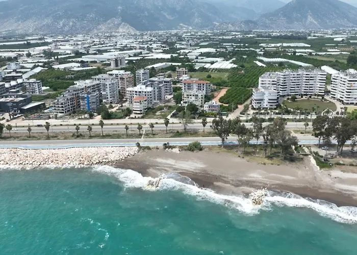 아파트 Orange Premium