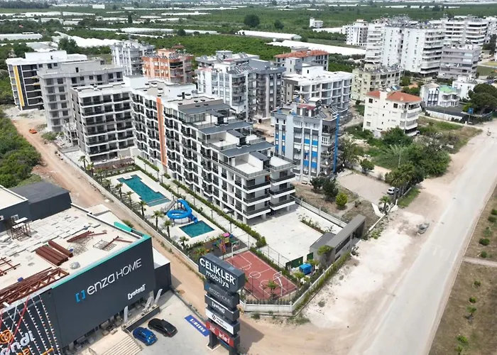 Orange Premium 피니케