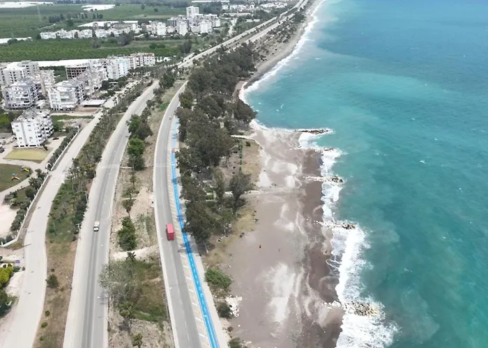 Orange Premium 피니케